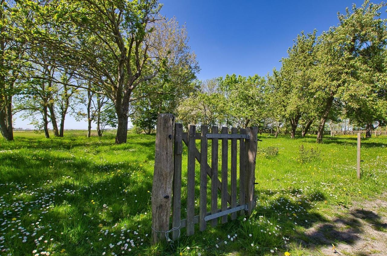 Fewo Auf Dem Lande / Nahe Spo Tumlauer Koog Extérieur photo